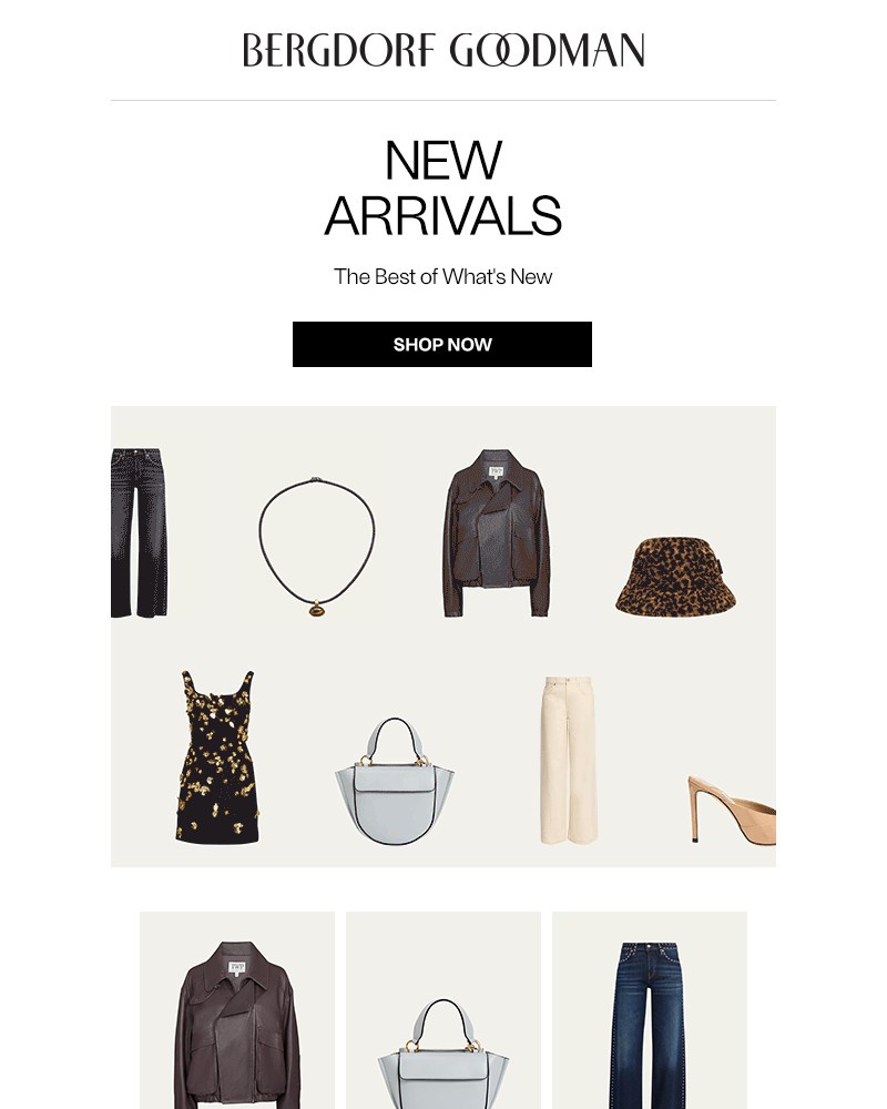 Screenshot of email sent to a Bergdorf Goodman Newsletter subscriber