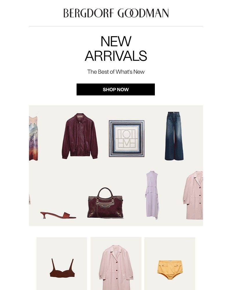Screenshot of email with subject /media/emails/newness-report-this-just-in-ddeaae-cropped-37fee133.jpg