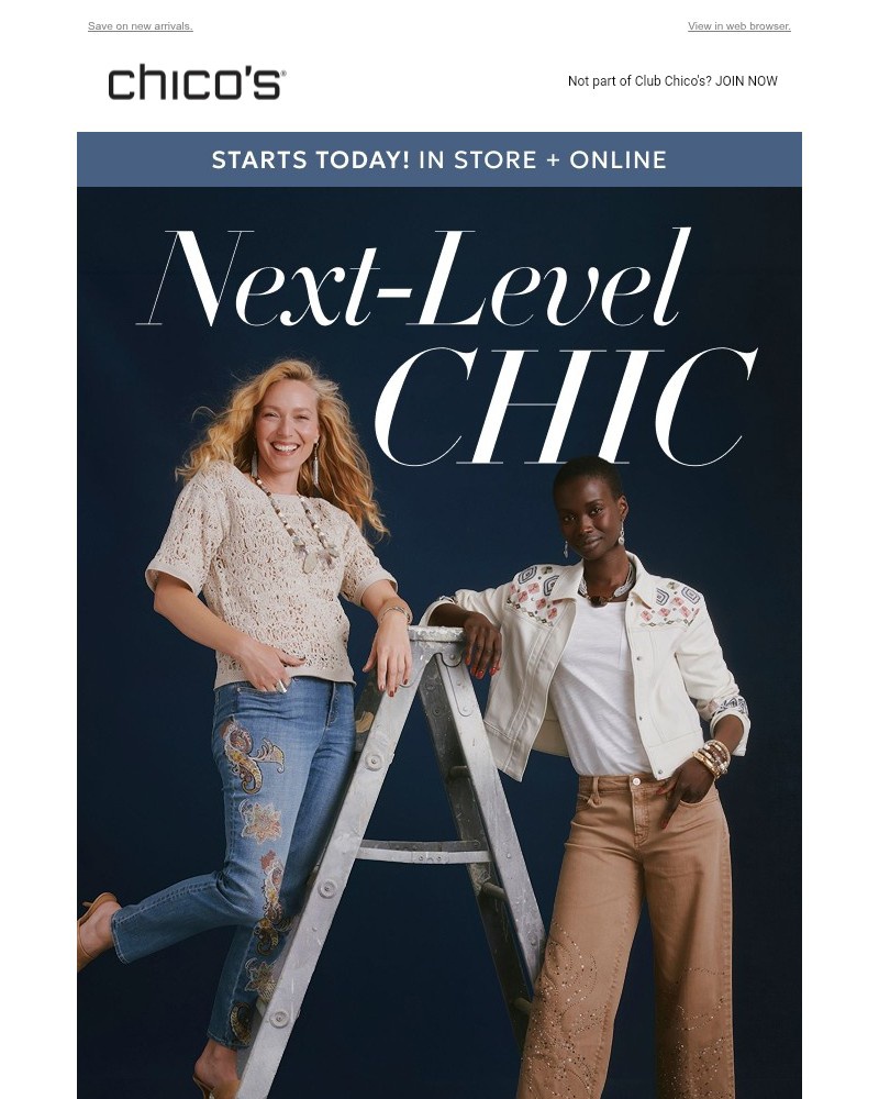 Screenshot of email with subject /media/emails/next-level-chic-25-off-starts-now-6d322b-cropped-d29924a5.jpg