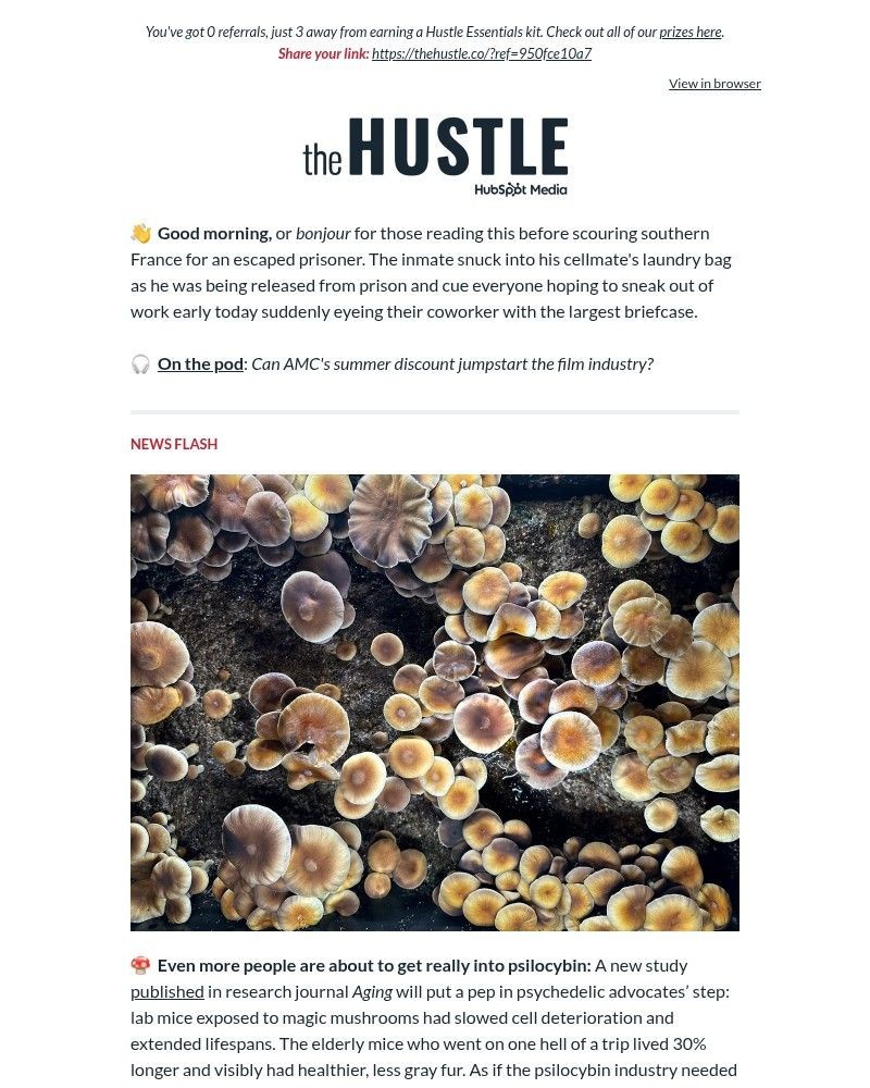 Screenshot of email with subject /media/emails/next-milk-fad-pecans-e1ed48-cropped-6a52f3a1.jpg