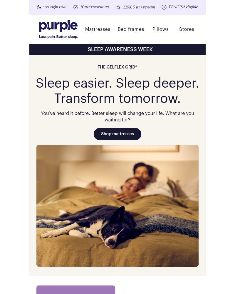 Screenshot of email sent to a Purple Cart abandoner