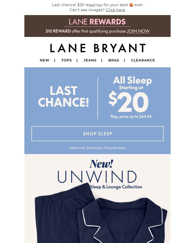 Screenshot of email sent to a Lane Bryant Newsletter subscriber