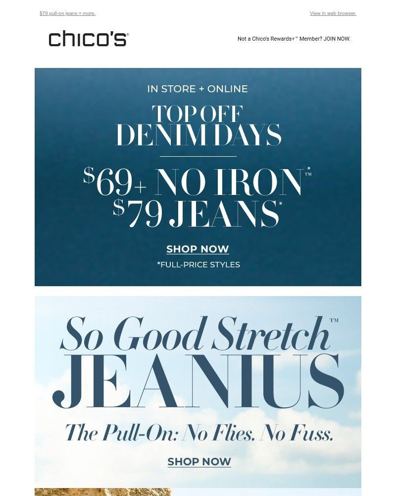 Screenshot of email with subject /media/emails/no-flies-no-fuss-jeanius-99d7b9-cropped-7cb81b19.jpg