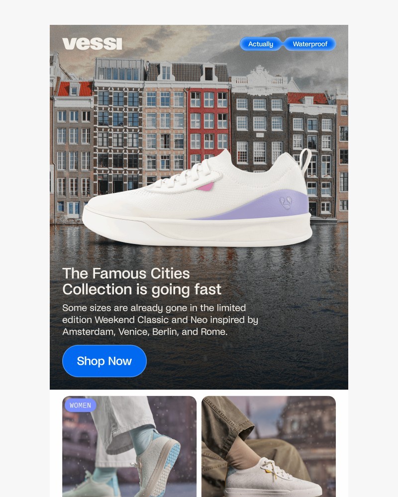 Screenshot of email sent to a Vessi Seller