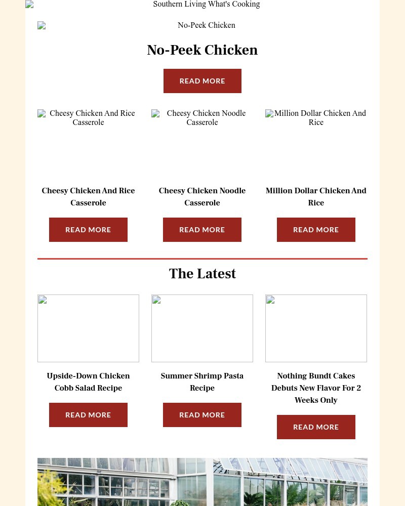Screenshot of email with subject /media/emails/no-peek-chicken-11624d-cropped-d354f700.jpg