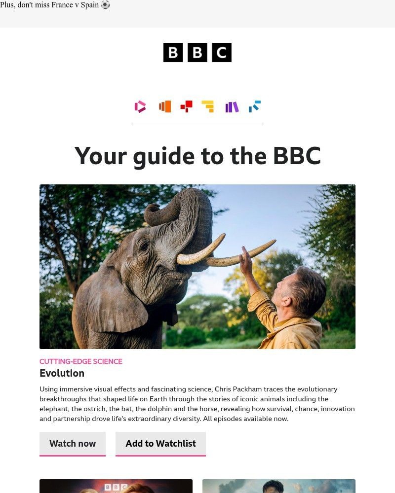 Screenshot of email sent to a BBC iPlayer Registered user