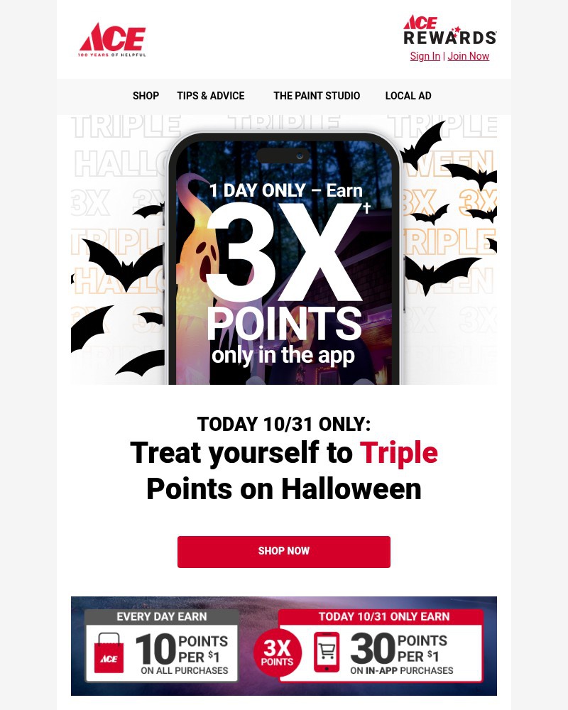 Screenshot of email sent to a Ace Hardware Newsletter subscriber