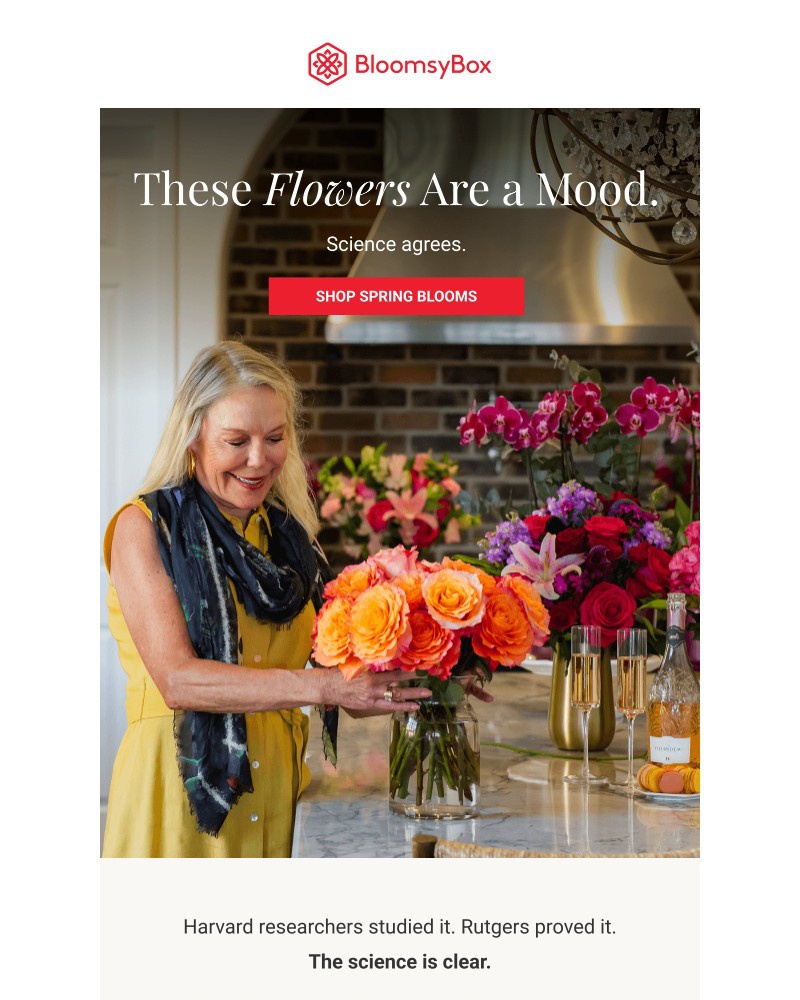 Screenshot of email with subject /media/emails/not-a-vibe-actual-science-this-time-597829-cropped-b4dc5f0e.jpg