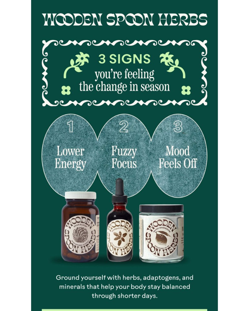 Screenshot of email with subject /media/emails/not-ready-for-5pm-darkness-7a8e35-cropped-853847ff.jpg