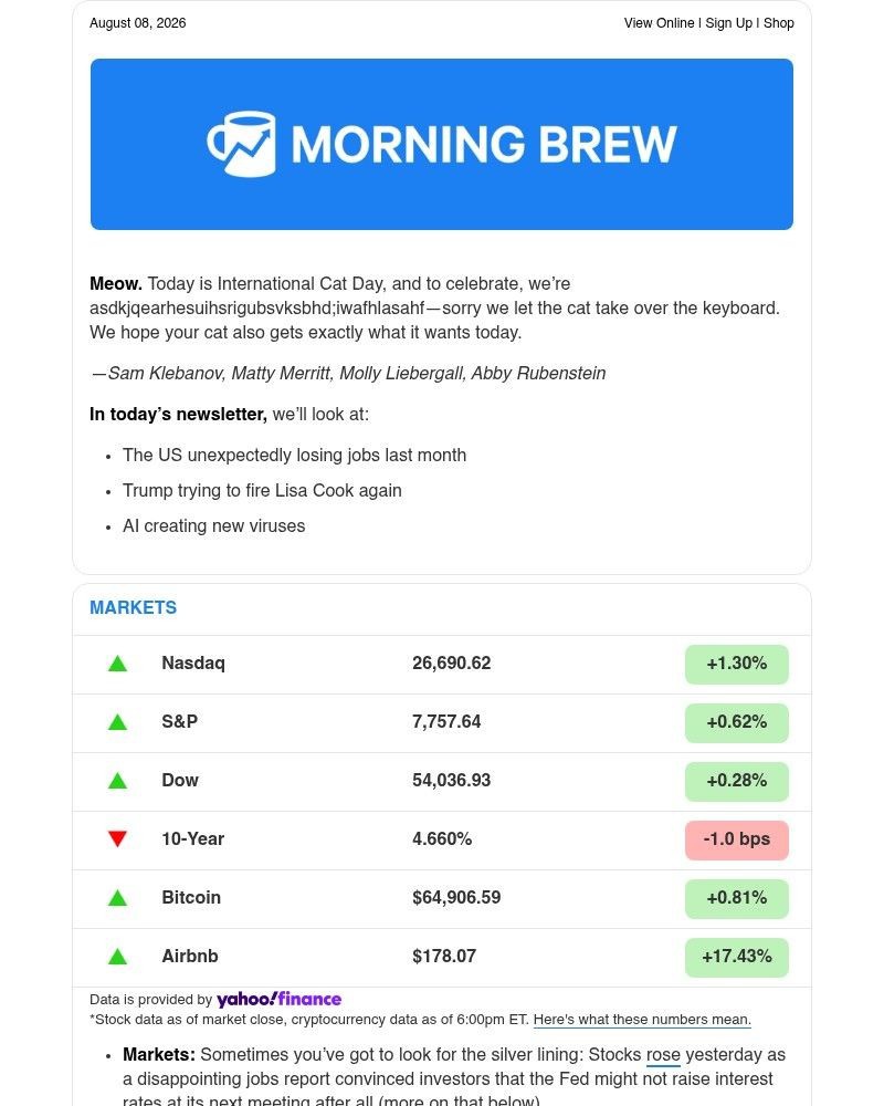 Screenshot of email sent to a Morning Brew Newsletter subscriber