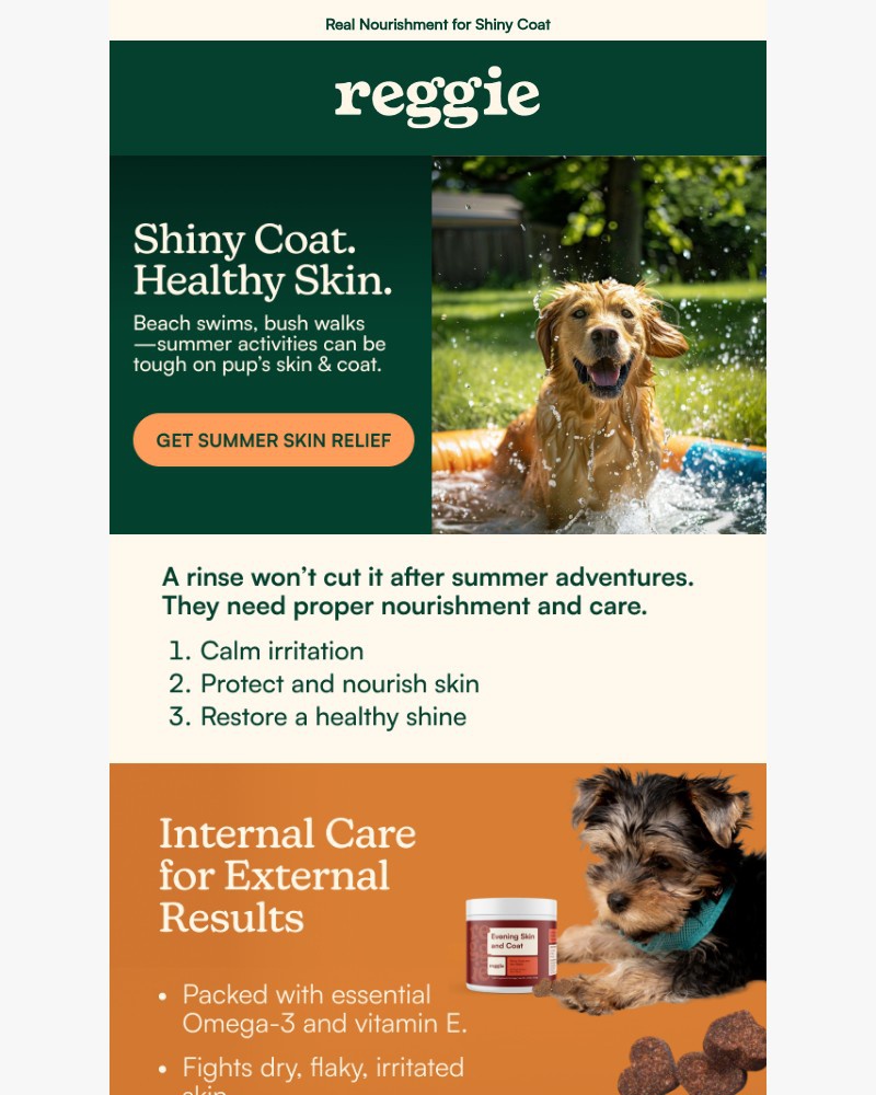 Screenshot of email with subject /media/emails/nourish-your-dogs-skin-and-coat-with-reggie-82ec72-cropped-74a44034.jpg