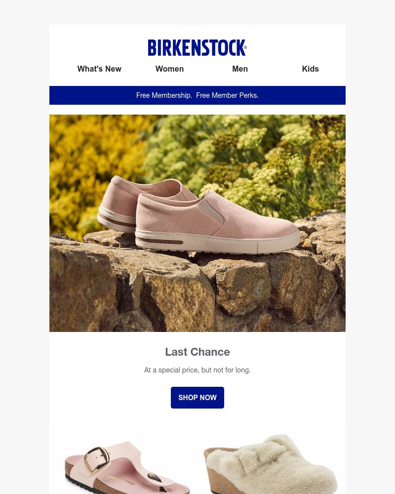 Screenshot of email with subject /media/emails/november-last-chance-styles-are-in-a37a88-cropped-9c500594.jpg