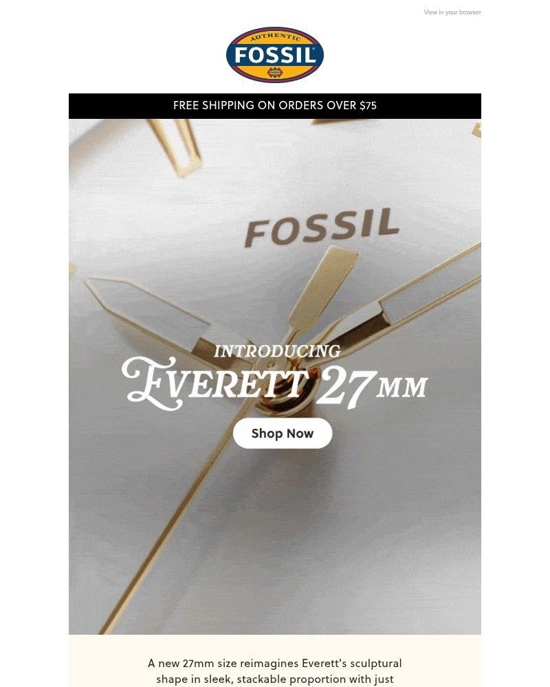 Screenshot of email sent to a Fossil Newsletter subscriber