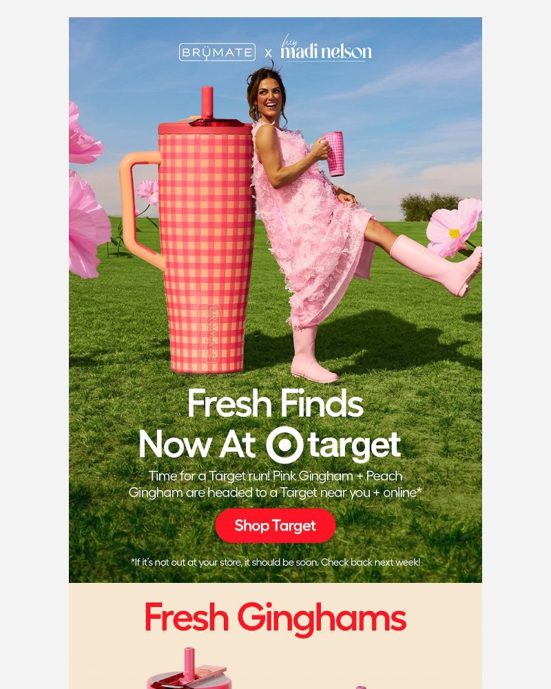 Screenshot of email with subject /media/emails/now-at-target-peach-pink-gingham-369926-cropped-9b7d2503.jpg