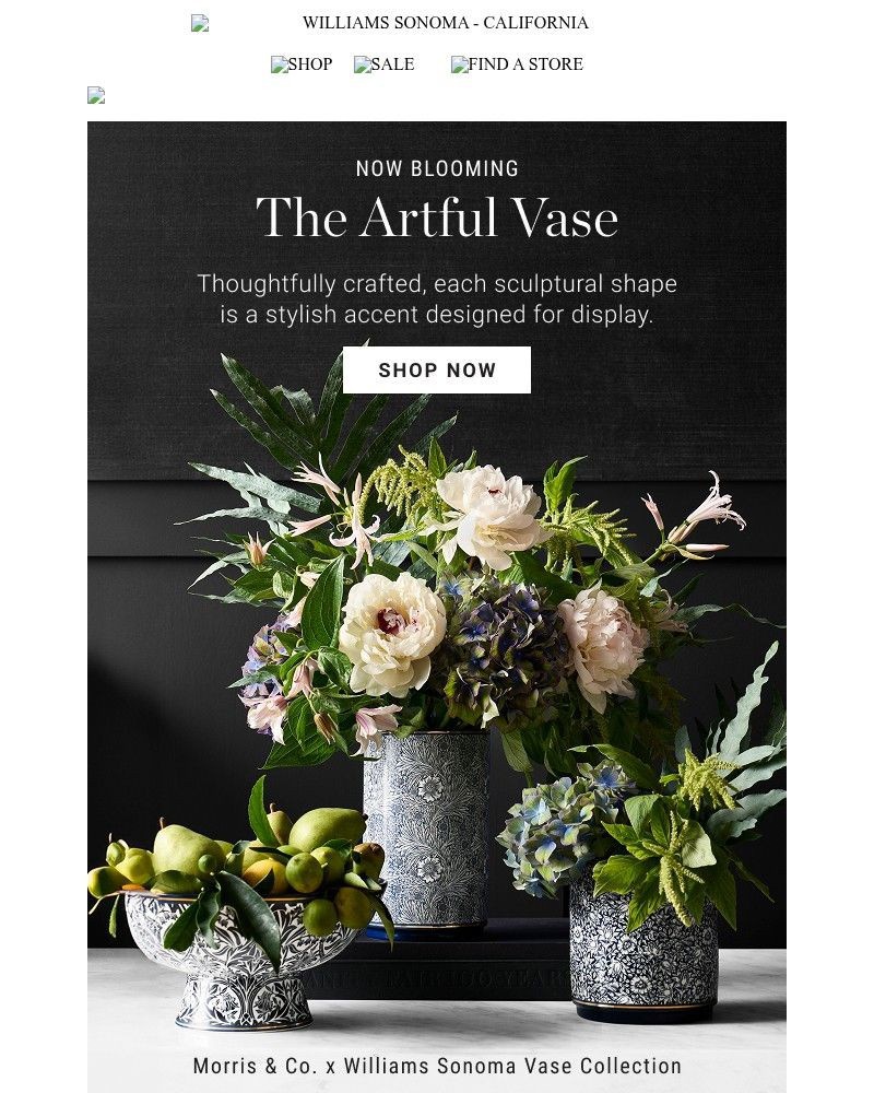Screenshot of email with subject /media/emails/now-blooming-2e5be3-cropped-e1df2828.jpg