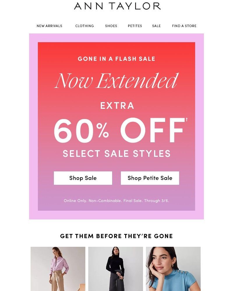 Screenshot of email with subject /media/emails/now-extended-extra-60-off-sale-c08655-cropped-e36ea9a8.jpg