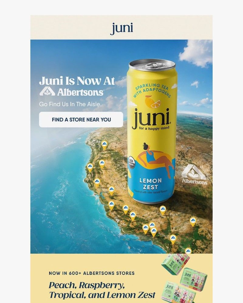 Screenshot of email sent to a Juni Newsletter subscriber