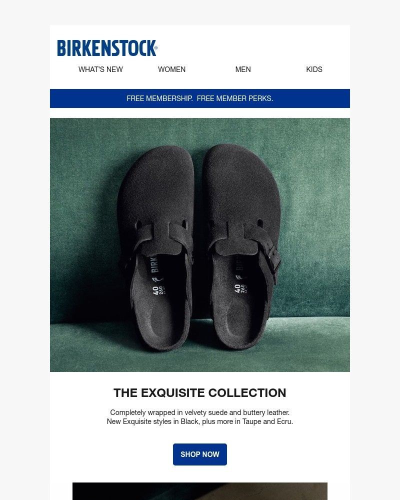 Screenshot of email with subject /media/emails/now-in-black-arizona-boston-exquisite-suede-5f4a61-cropped-f38118d9.jpg