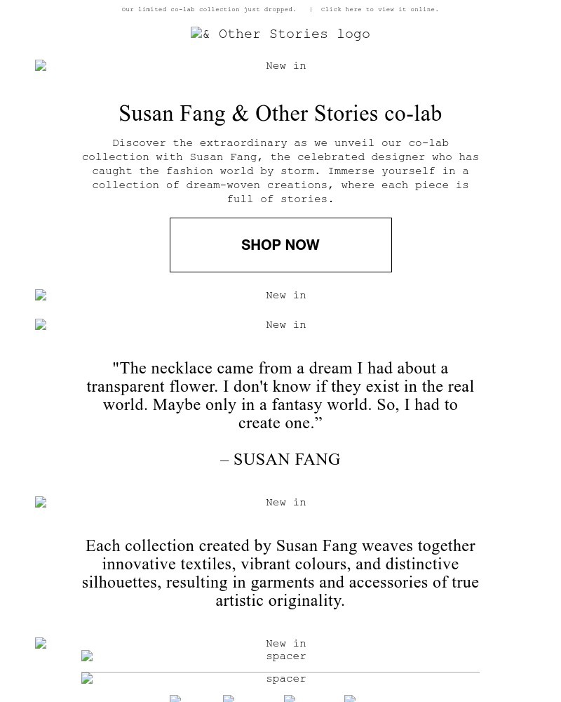 Screenshot of email with subject /media/emails/now-launching-susan-fang-co-lab-f120e5-cropped-8e19c243.jpg