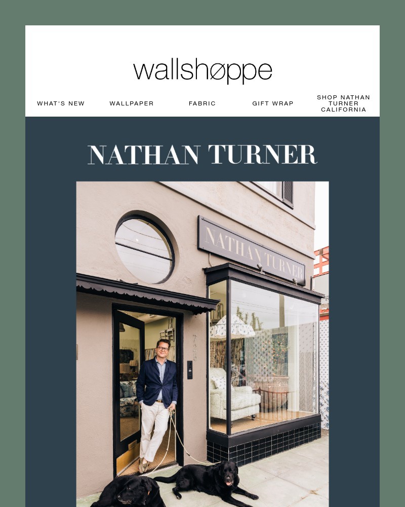 Screenshot of email with subject /media/emails/now-open-our-nathan-turner-showroom-is-now-open-in-west-hollywood-a6fc83-cropped-6954d6ff.jpg