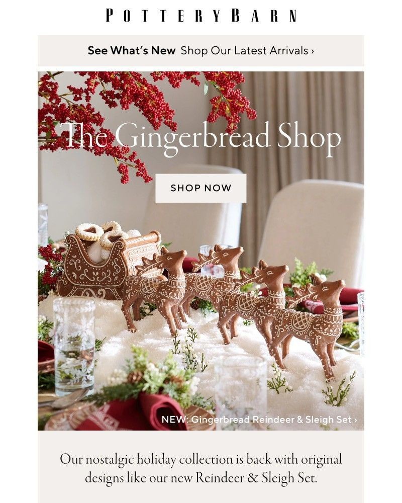 Screenshot of email with subject /media/emails/now-open-the-gingerbread-shop-1449ef-cropped-42a08035.jpg
