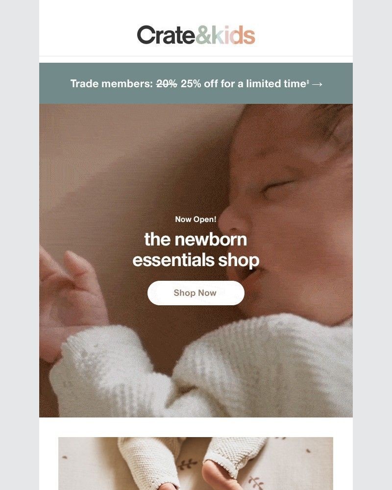 Screenshot of email with subject /media/emails/now-open-the-newborn-essentials-shop-2e4c65-cropped-48944c68.jpg