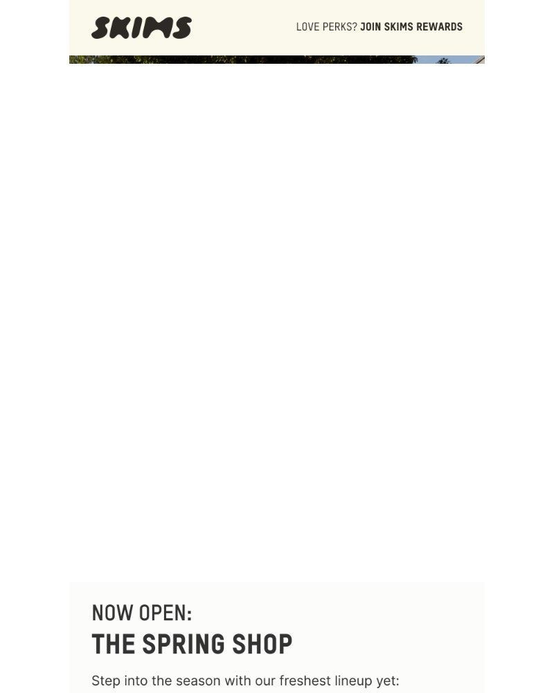Screenshot of email sent to a Skims Newsletter subscriber