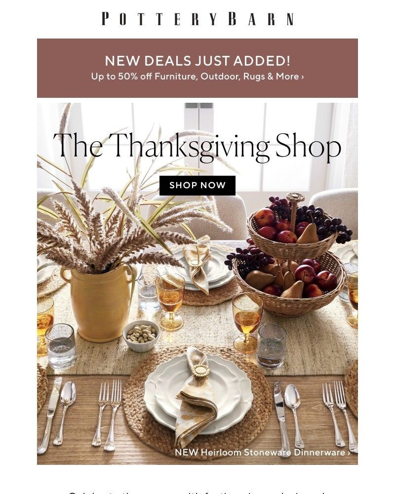 Screenshot of email with subject /media/emails/now-open-the-thanksgiving-shop-73c5a6-cropped-dcfed490.jpg