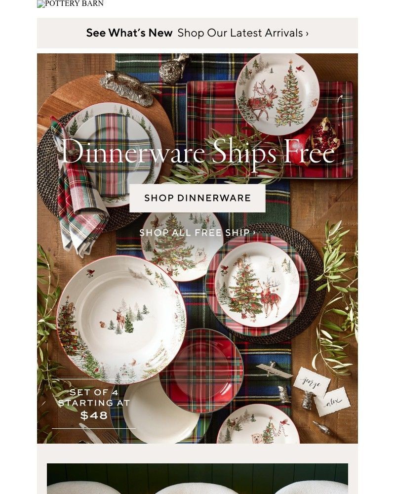 Screenshot of email with subject /media/emails/now-shipping-free-all-dinnerware-0120de-cropped-39853a96.jpg