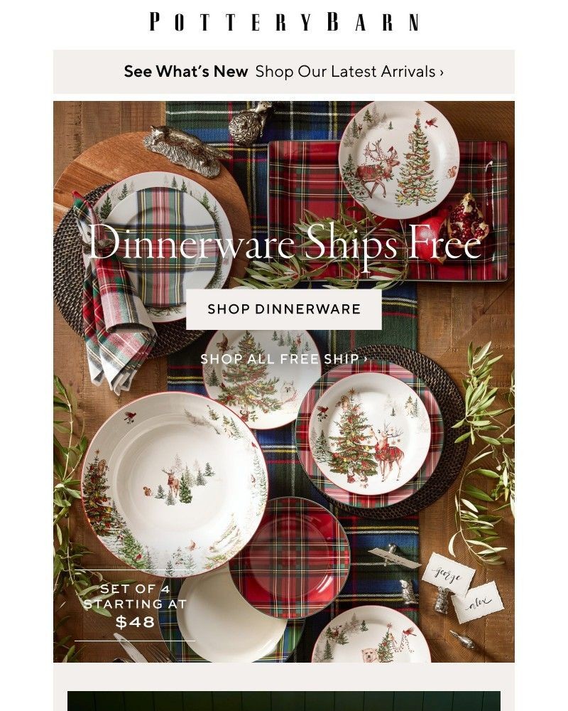 Screenshot of email with subject /media/emails/now-shipping-free-all-dinnerware-059aa0-cropped-8f87b6be.jpg