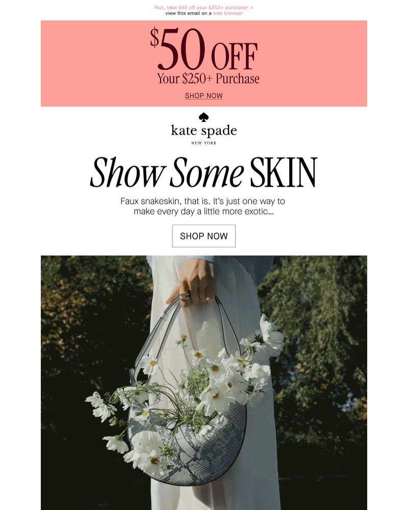 Screenshot of email sent to a Kate Spade Newsletter subscriber