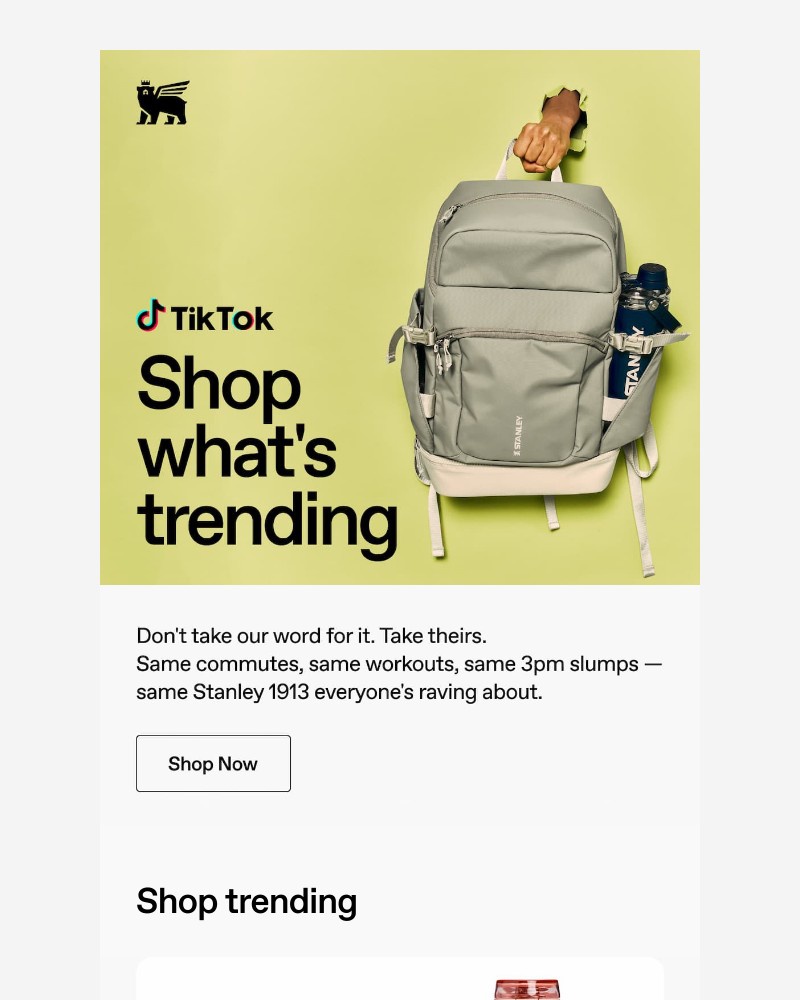 Screenshot of email sent to a Stanley Newsletter subscriber
