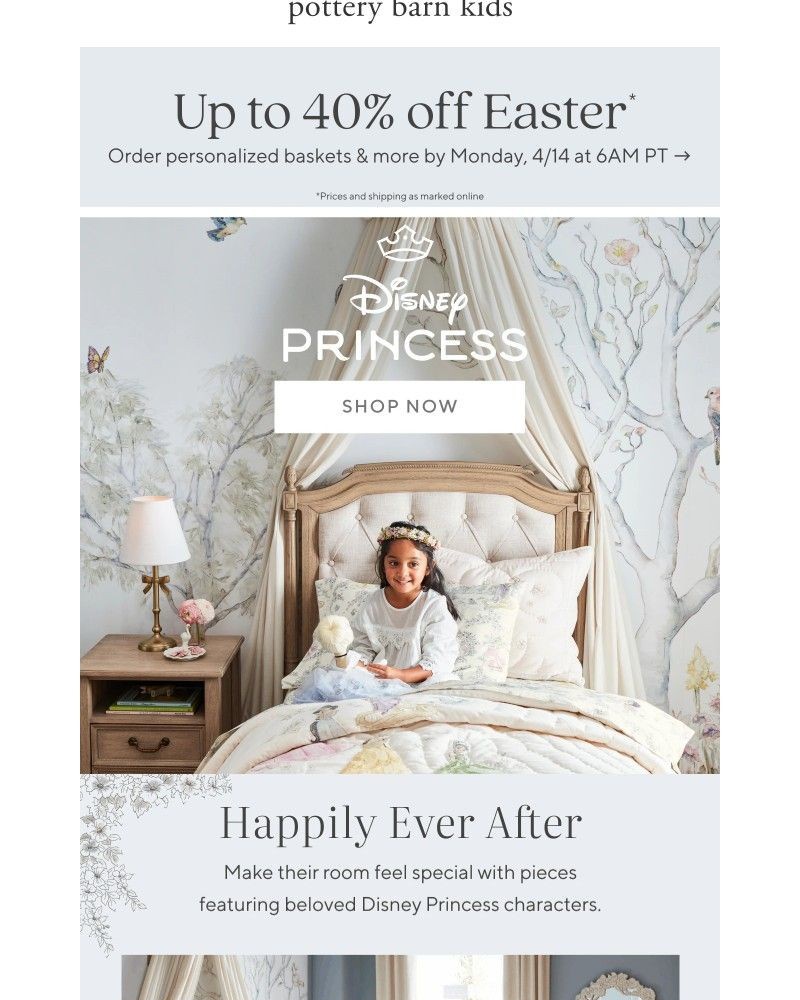 Screenshot of email with subject /media/emails/now-trending-the-dreamiest-disney-princess-collection-d617e1-cropped-e58de277.jpg