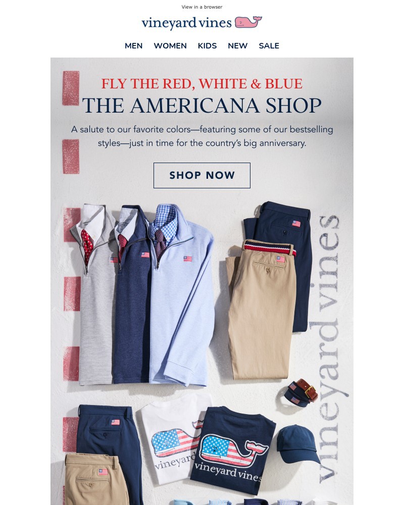 Screenshot of email with subject /media/emails/o-say-can-you-see-our-american-flag-collection-89940c-cropped-6e8d0d03.jpg