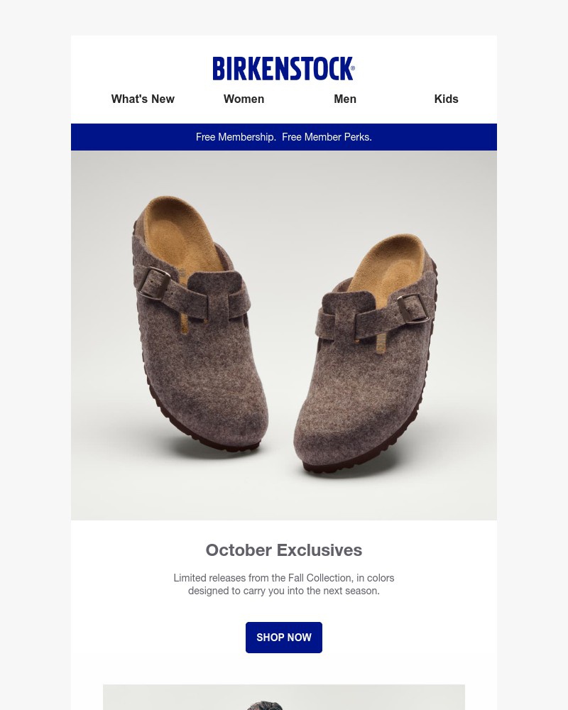 Screenshot of email with subject /media/emails/october-exclusives-are-in-amsterdam-boston-arizona-a7827b-cropped-a3f6d805.jpg