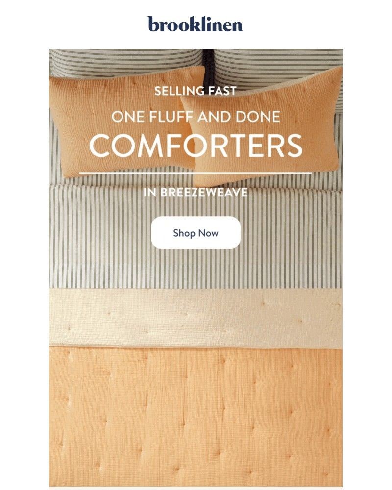 Screenshot of email with subject /media/emails/oh-my-gauze-its-our-breezeweave-comforter-e8f943-cropped-64e4a345.jpg