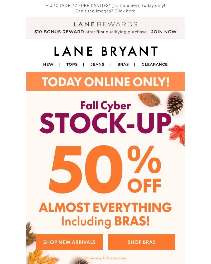 Screenshot of email with subject /media/emails/omg-50-off-everything-online-today-264bbf-cropped-cc273a61.jpg