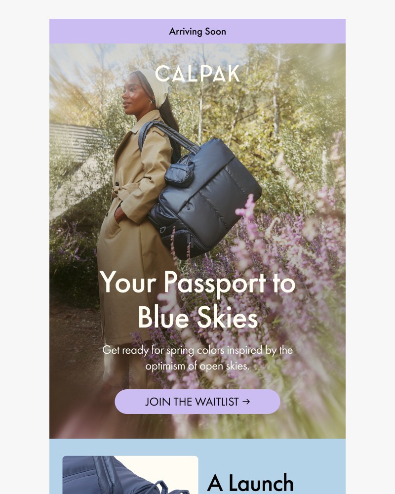 Screenshot of email with subject /media/emails/on-its-way-your-passport-to-blue-skies-476185-cropped-ec9d4d54.jpg