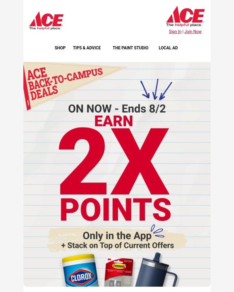 Screenshot of email sent to a Ace Hardware Newsletter subscriber