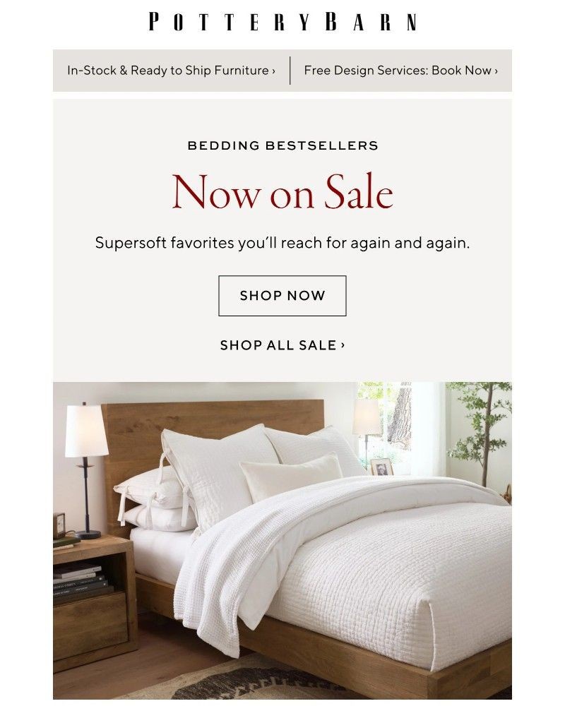 Screenshot of email with subject /media/emails/on-sale-now-bedding-bestsellers-0643a2-cropped-514df0d4.jpg