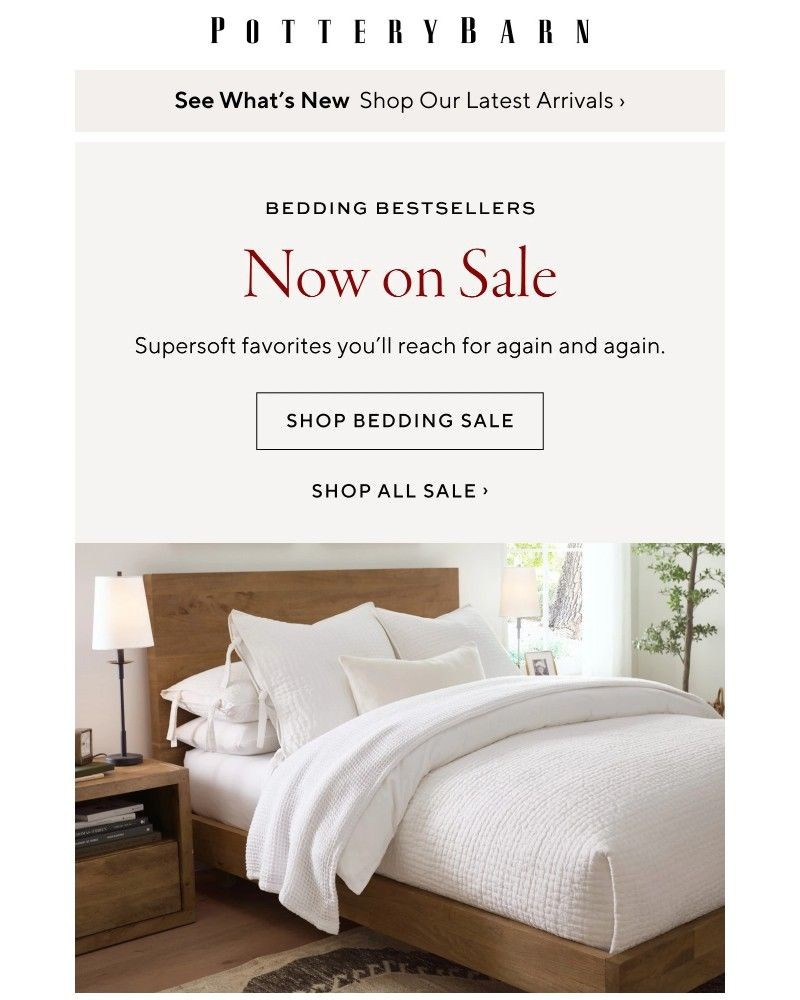 Screenshot of email with subject /media/emails/on-sale-now-bedding-bestsellers-84a0a0-cropped-b777258e.jpg