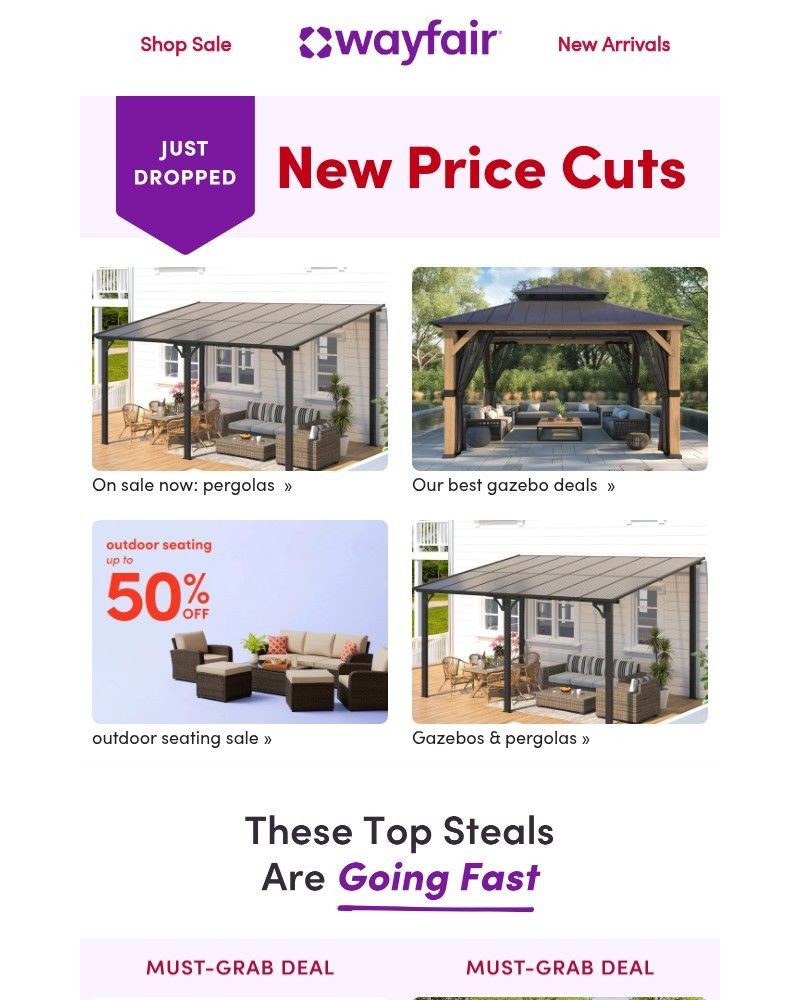 Screenshot of email sent to a Wayfair Newsletter subscriber