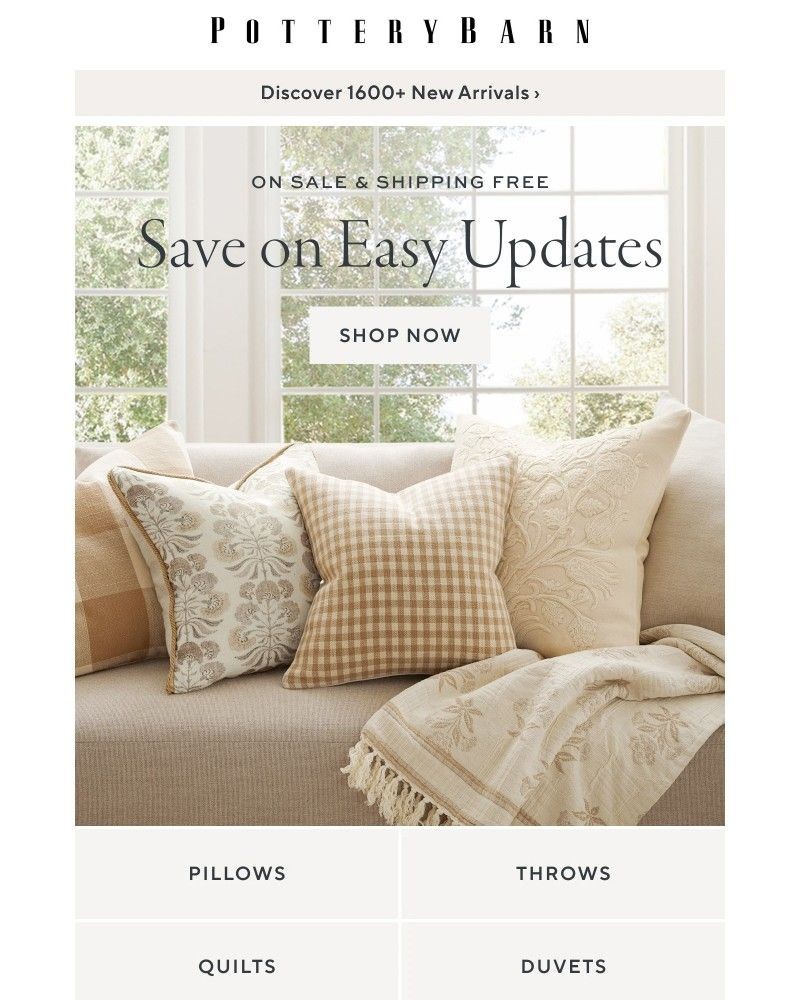 Screenshot of email with subject /media/emails/on-sale-shipping-free-c95f05-cropped-66c18b48.jpg