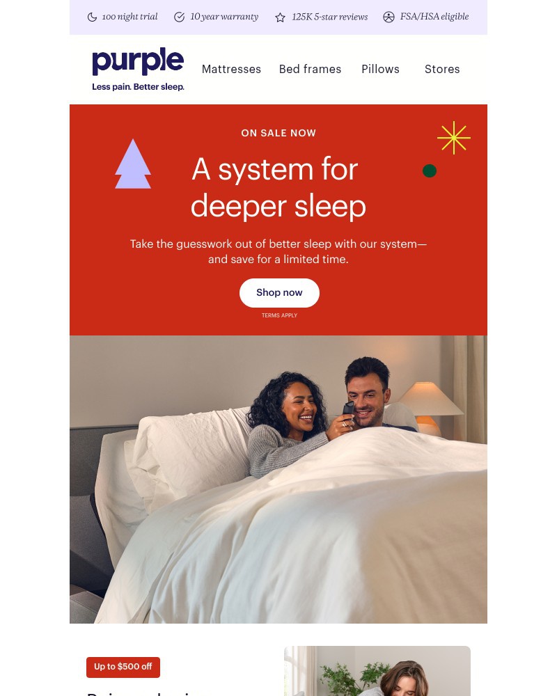 Screenshot of email sent to a Purple Cart abandoner