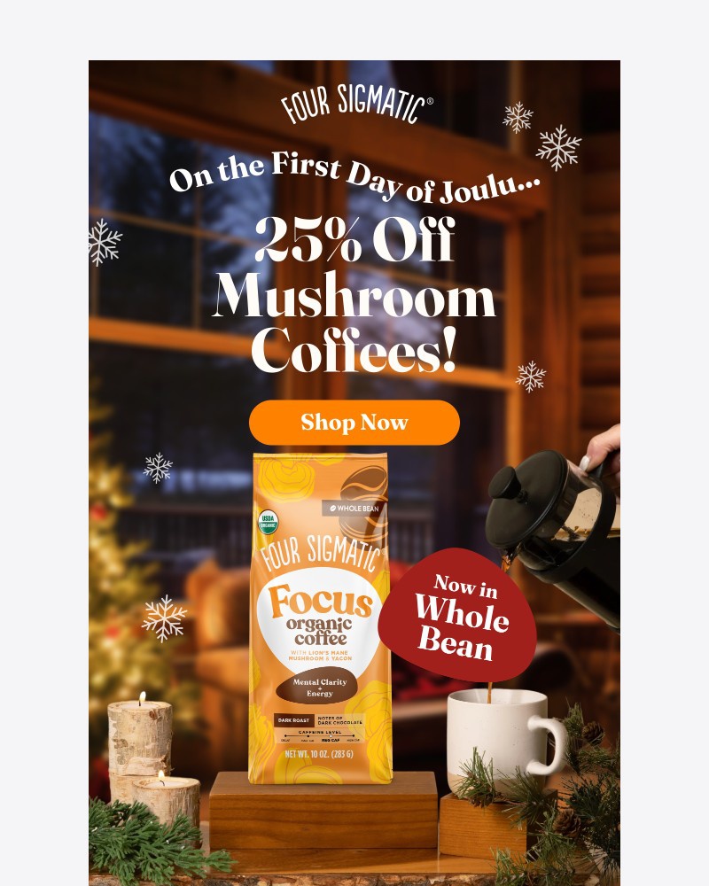 Screenshot of email with subject /media/emails/on-the-first-day-of-joulu-b6bbcd-cropped-34146b8a.jpg