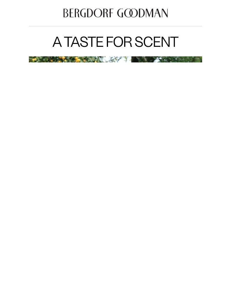 Screenshot of email with subject /media/emails/on-the-nose-fresh-fragrances-1c504b-cropped-57af169c.jpg