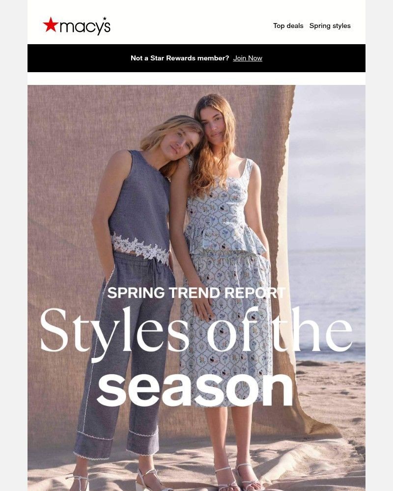 Screenshot of email sent to a Macy's Cart abandoner