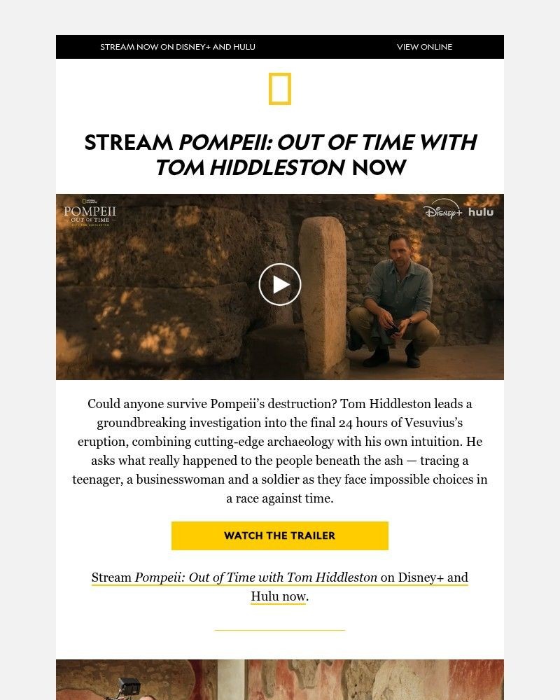 Screenshot of email sent to a National Geographic Newsletter subscriber