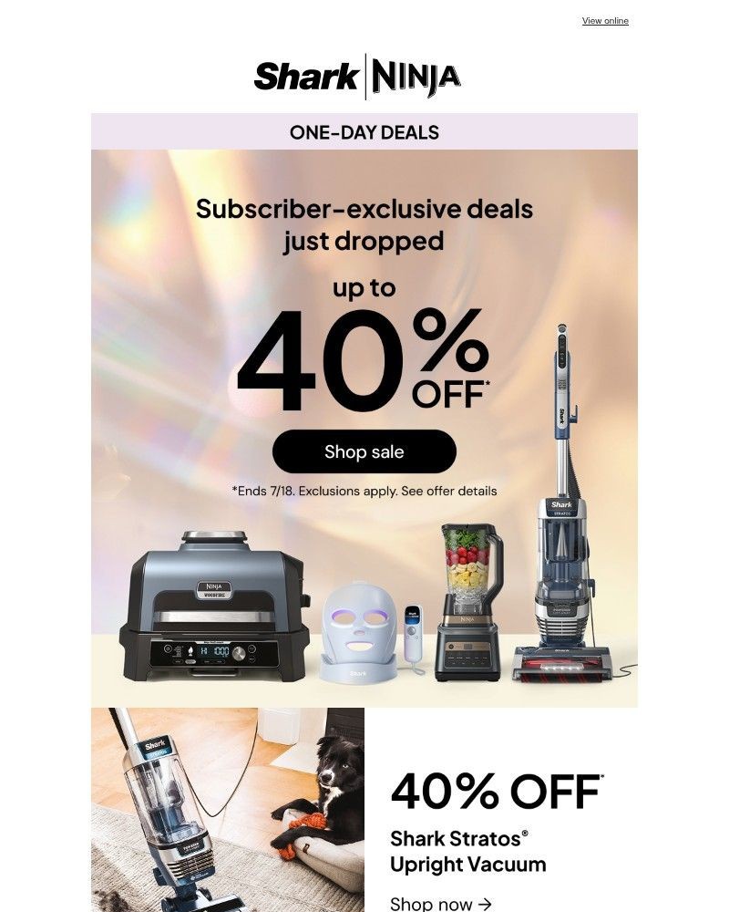 Screenshot of email with subject /media/emails/one-day-deals-inside-up-to-40-off-f1d9d9-cropped-3aa049c9.jpg