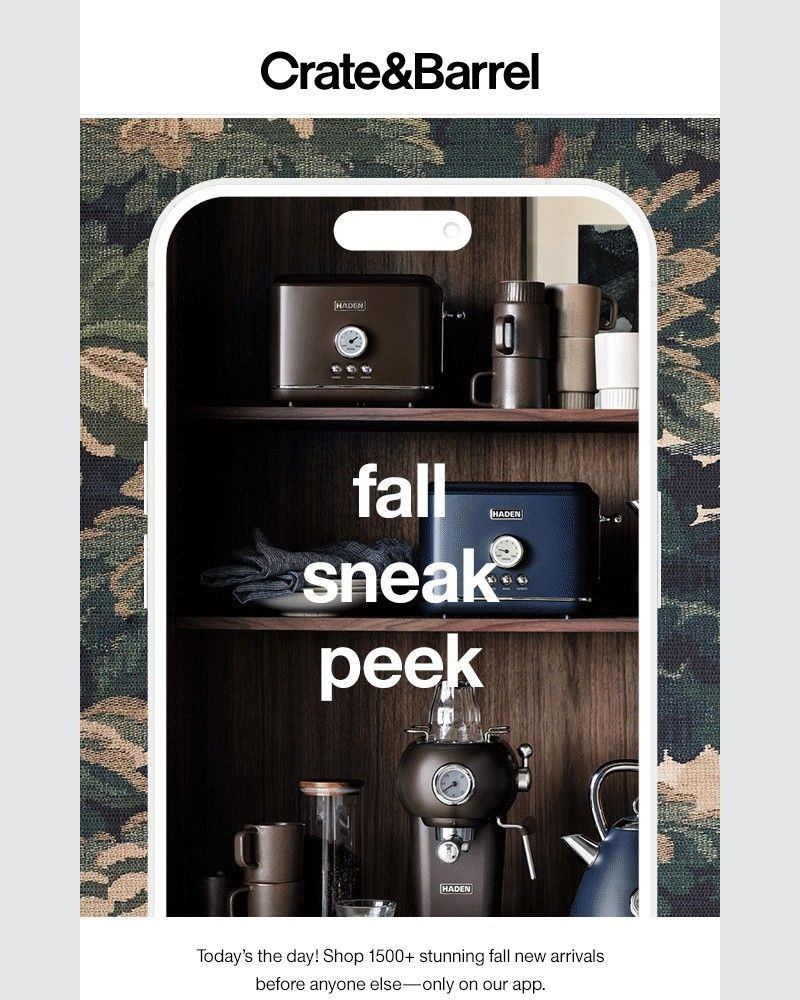Screenshot of email with subject /media/emails/one-day-early-be-the-first-to-shop-1500-new-arrivals-b56502-cropped-1e99580e.jpg